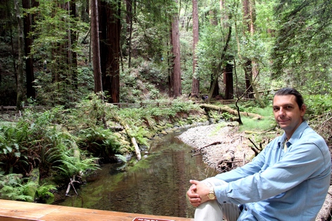 ���� ���